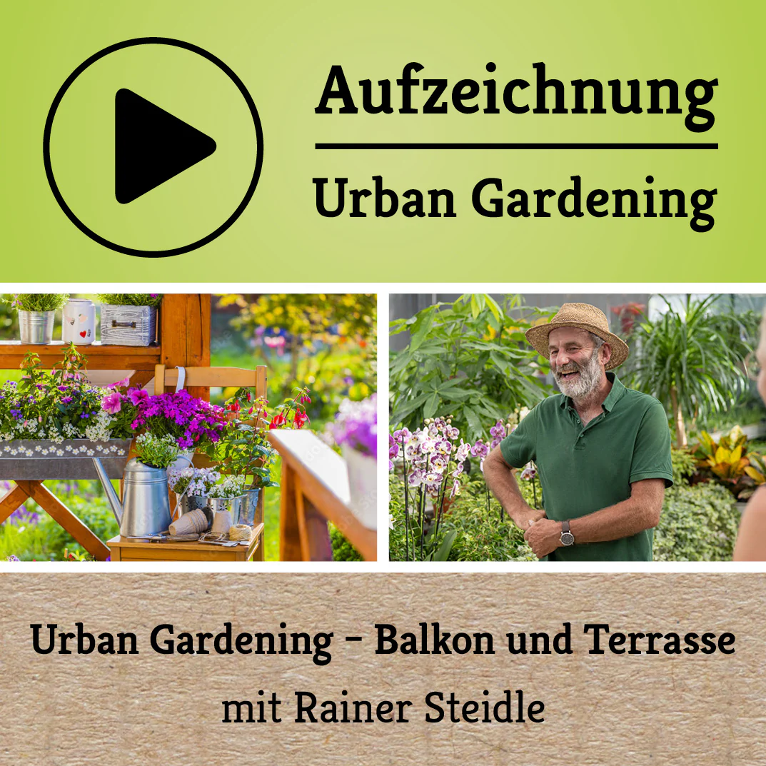 Webinar Aufzeichnung - Urban Gardening