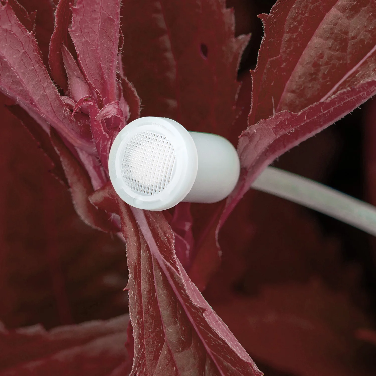 Birchmeier Sprühflasche Foxy Plus 360° - Image 4