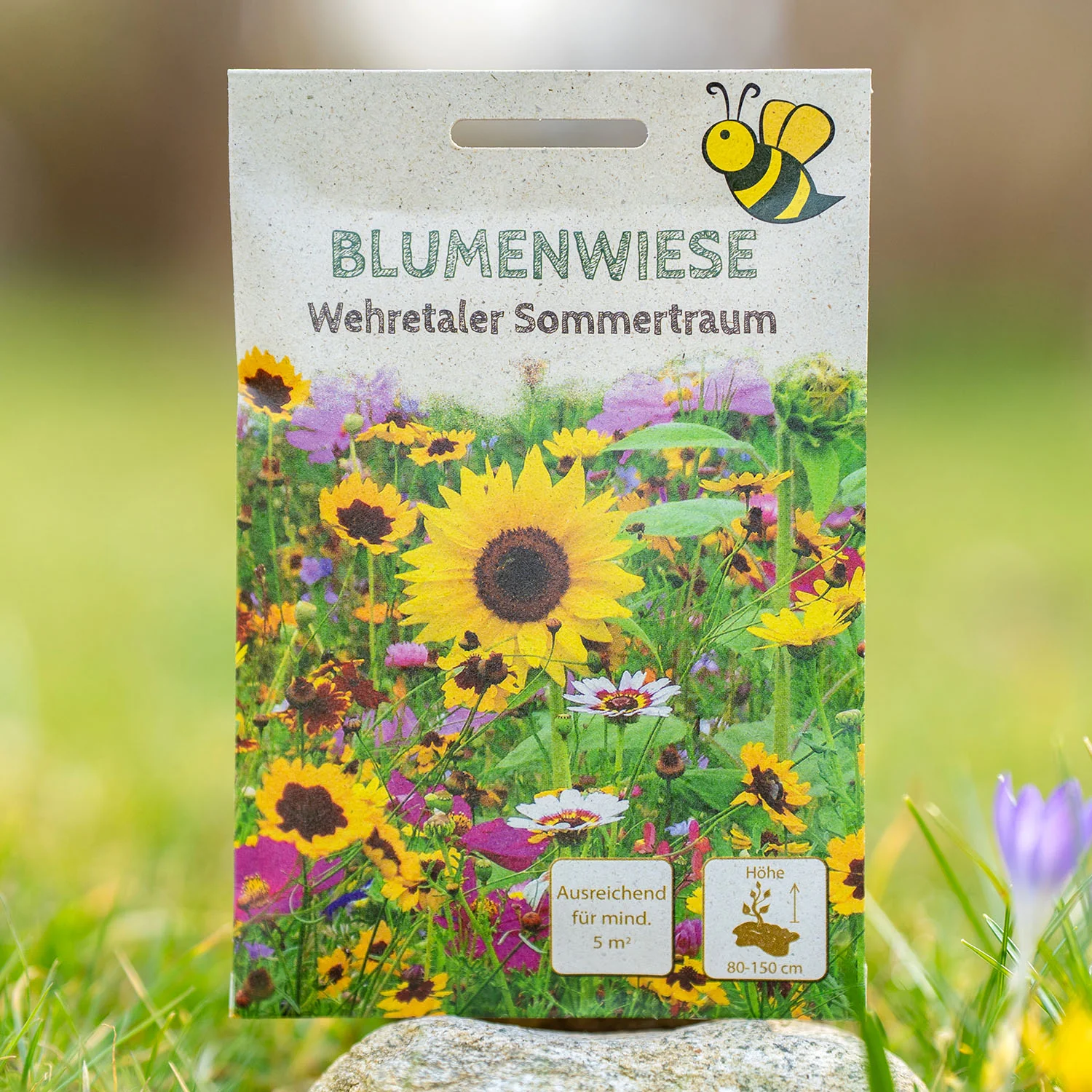 Blumenwiese Wehretaler Sommertraum 5 m²