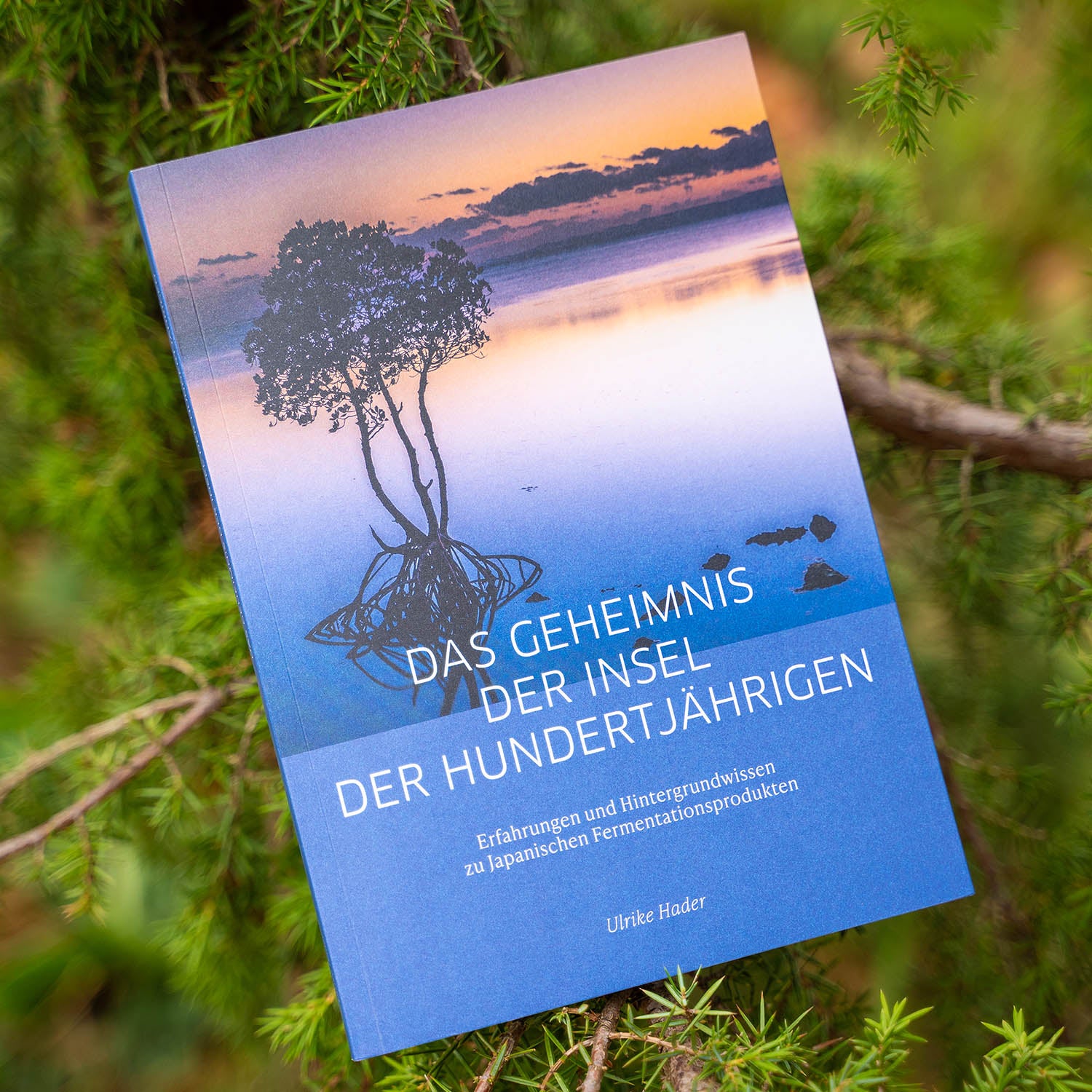 Buch: Das Geheimnis der Insel der Hundertjährigen