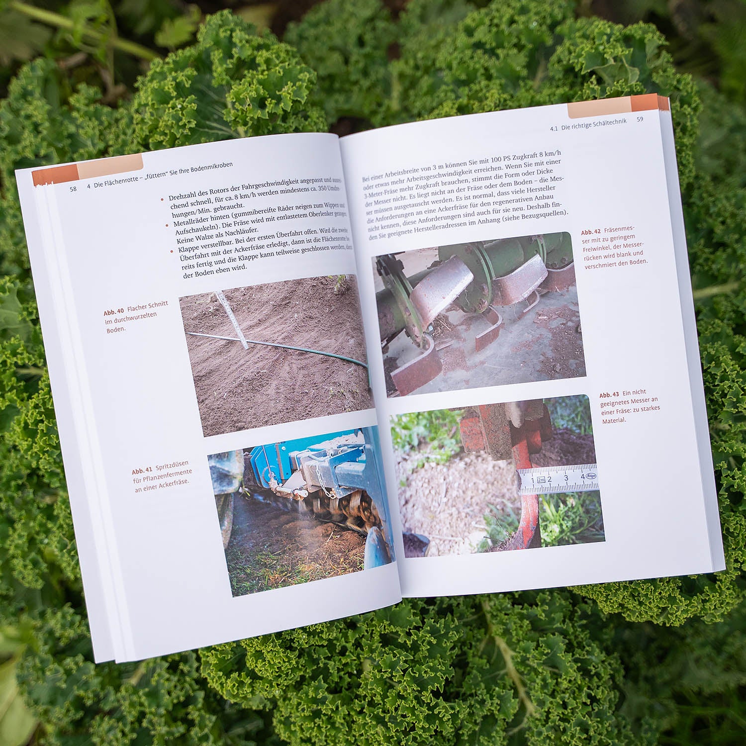 Regenerative Landwirtschaft - BUCH - Image 2