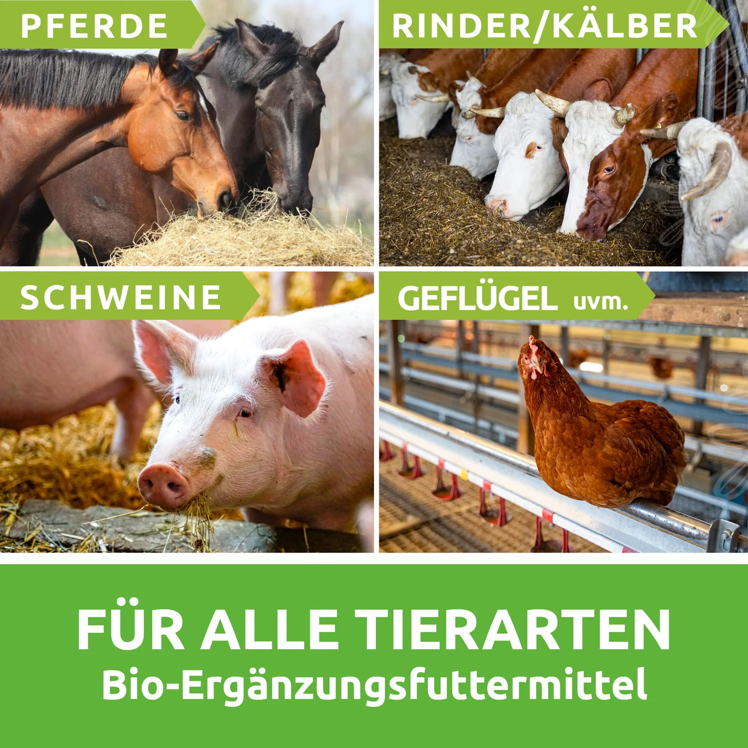 Chiemgauer Fermentierter Kräuterextrakt (CFKE) BIO-Qualität (Großgebinde) - Image 6