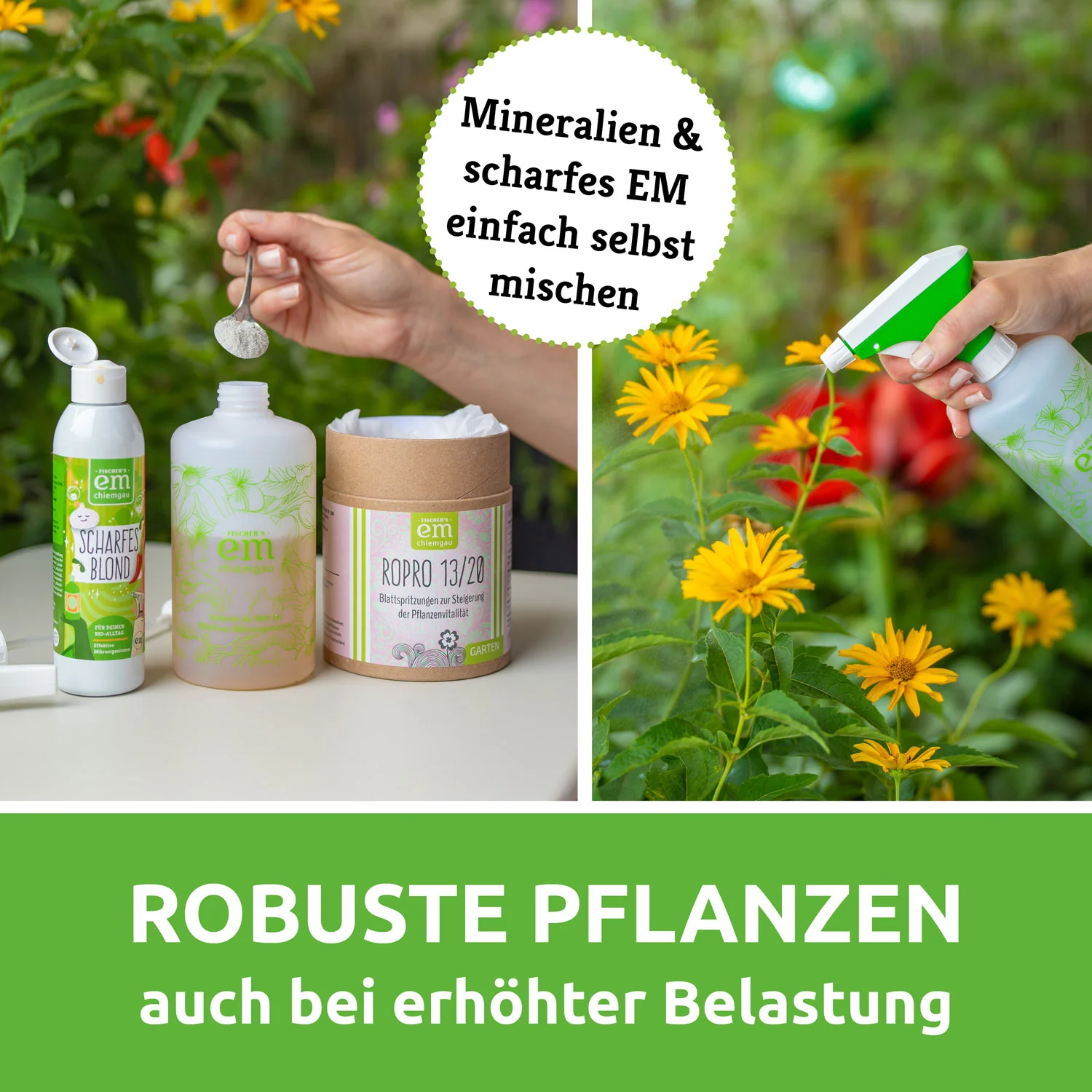 EM-Gartenzauber - SET - Image 7