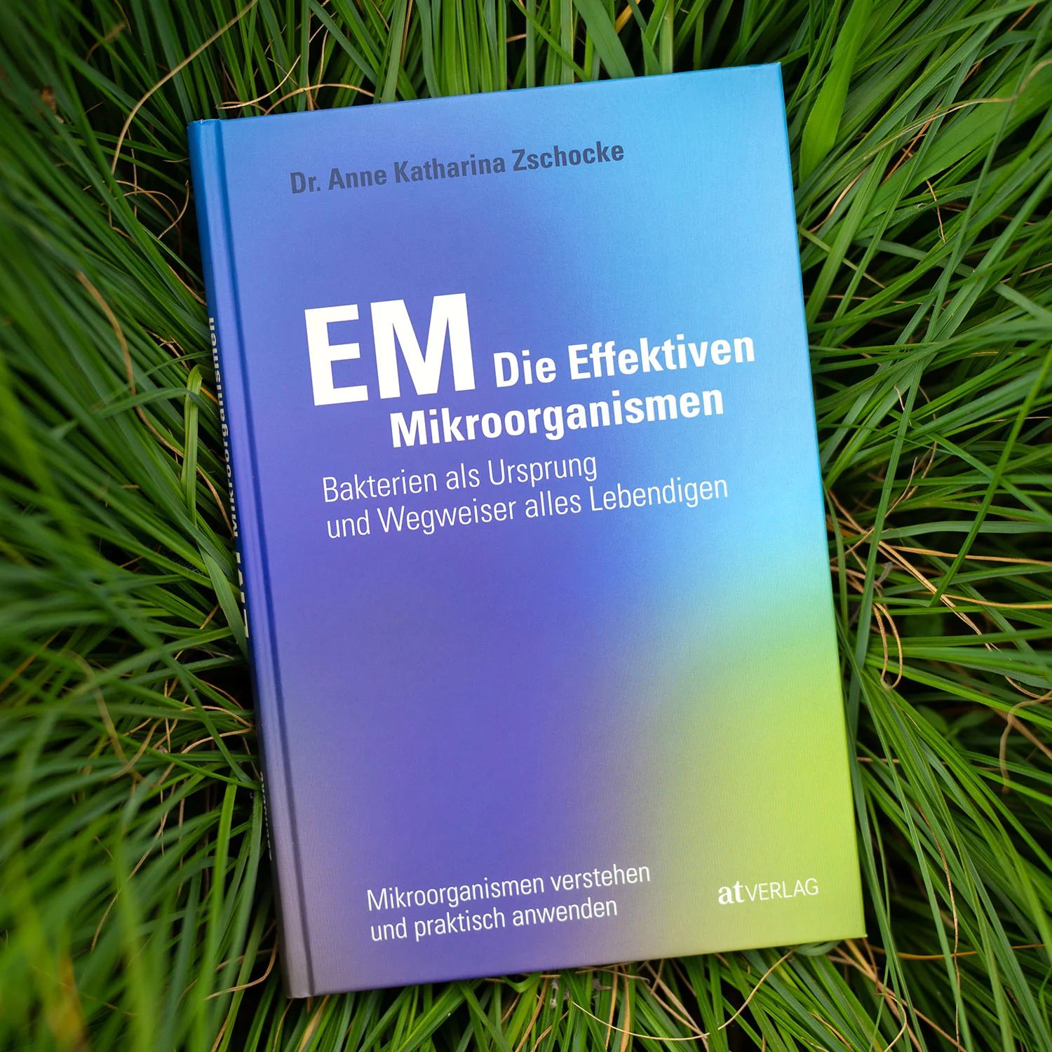 Bakterien als Ursprung und Wegweiser alles Lebendigen