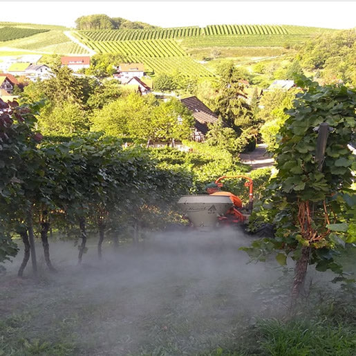 EM-Wein von Alde Gott - Image 7