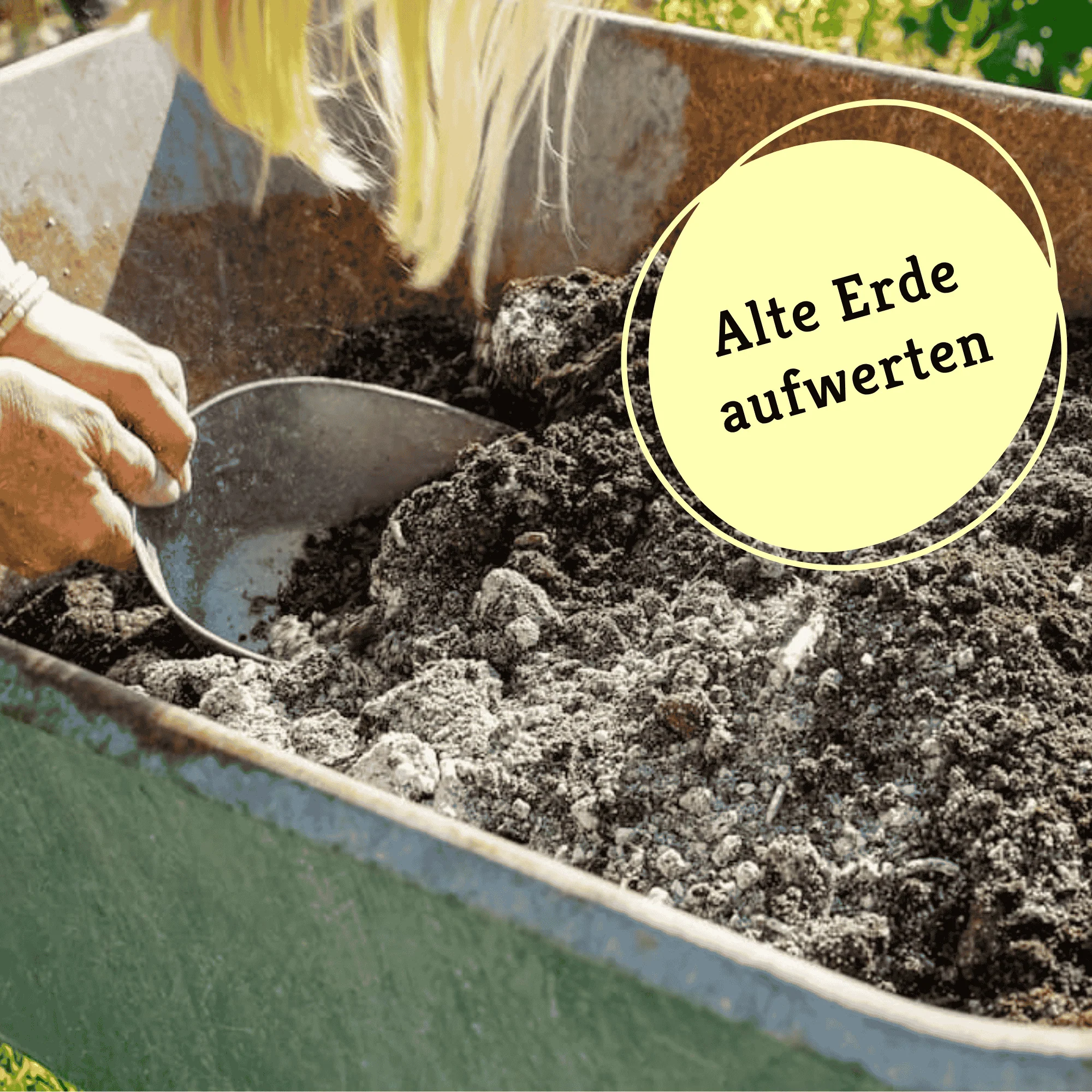Hochbeet- & Kübel-Set für Saisonstart: Düngen, Mineralien & Boden aktivieren - Image 2