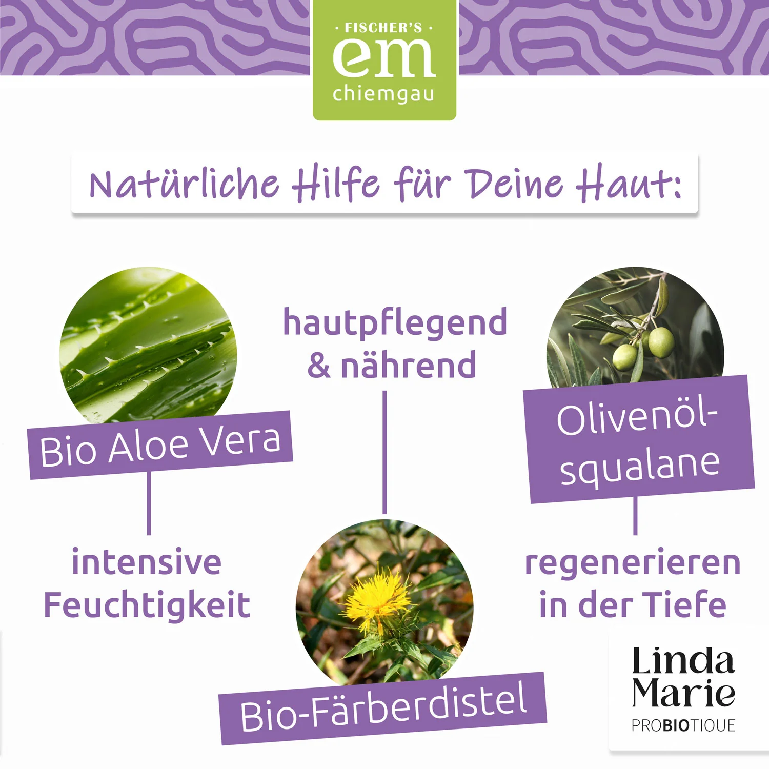 Linda Marie PROBIOTIQUE Creme Flair · Handpflege - Image 4