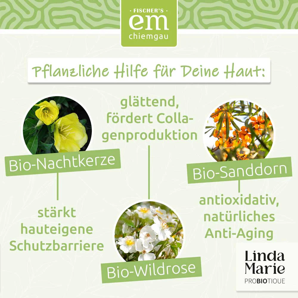 Linda Marie PROBIOTIQUE – Creme Spirit - leichte Pflege - Image 4