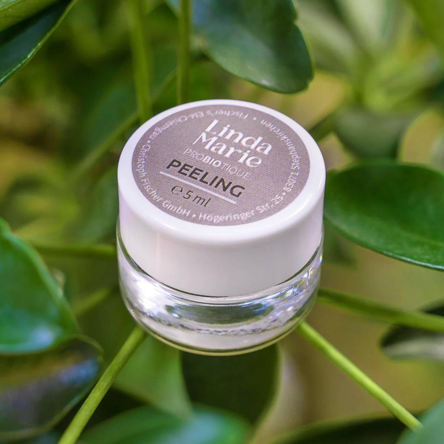 Linda Marie PROBIOTIQUE Peeling - Image 12
