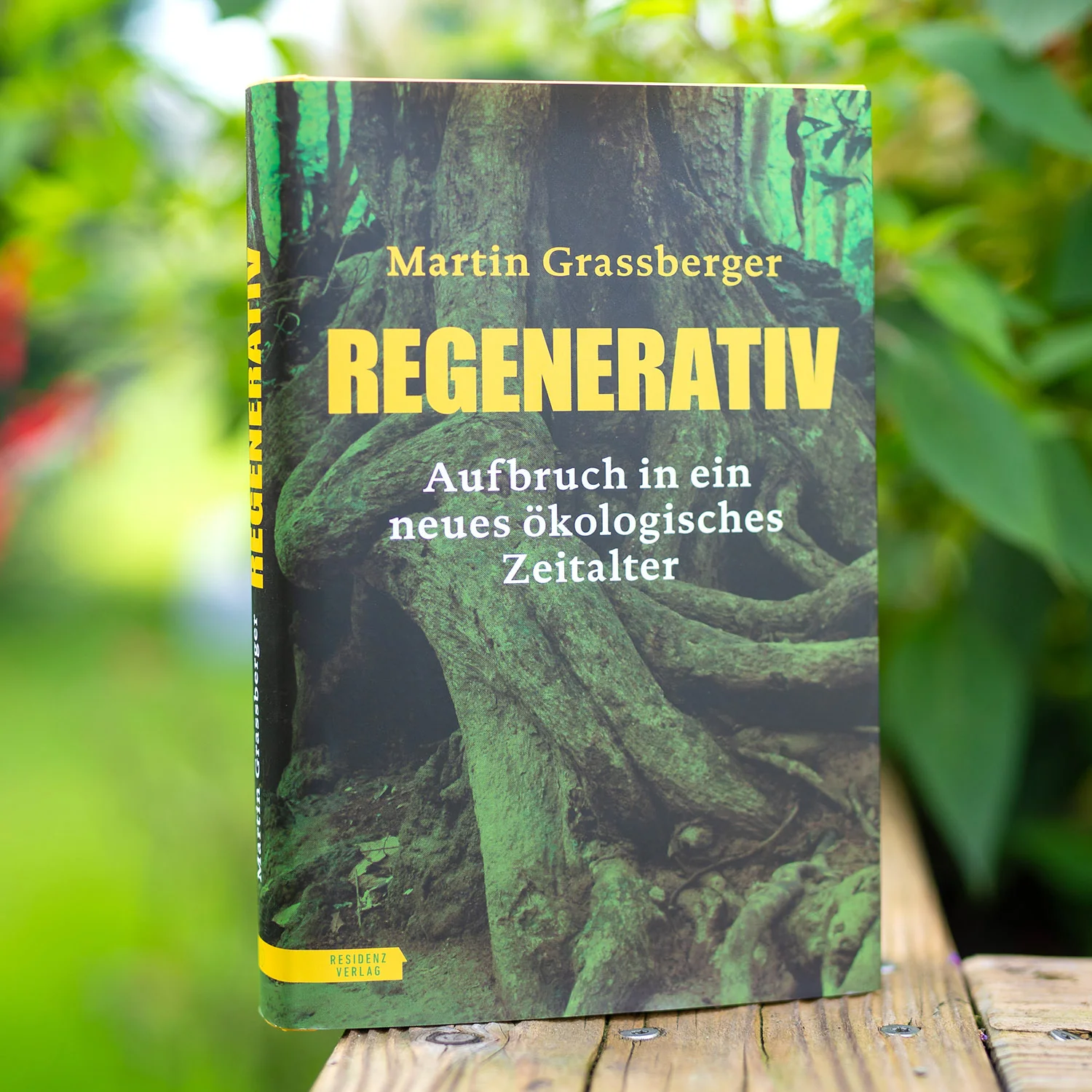 Vorschaubild 1
