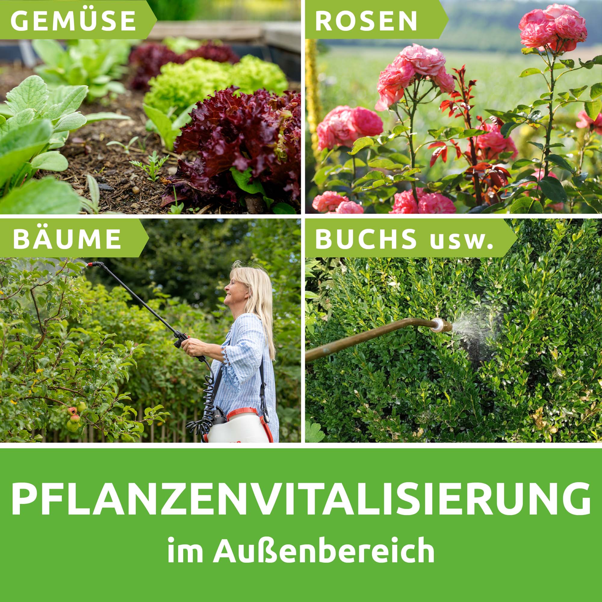 Scharfes Blond Pflanzenpflegemittel - Image 3