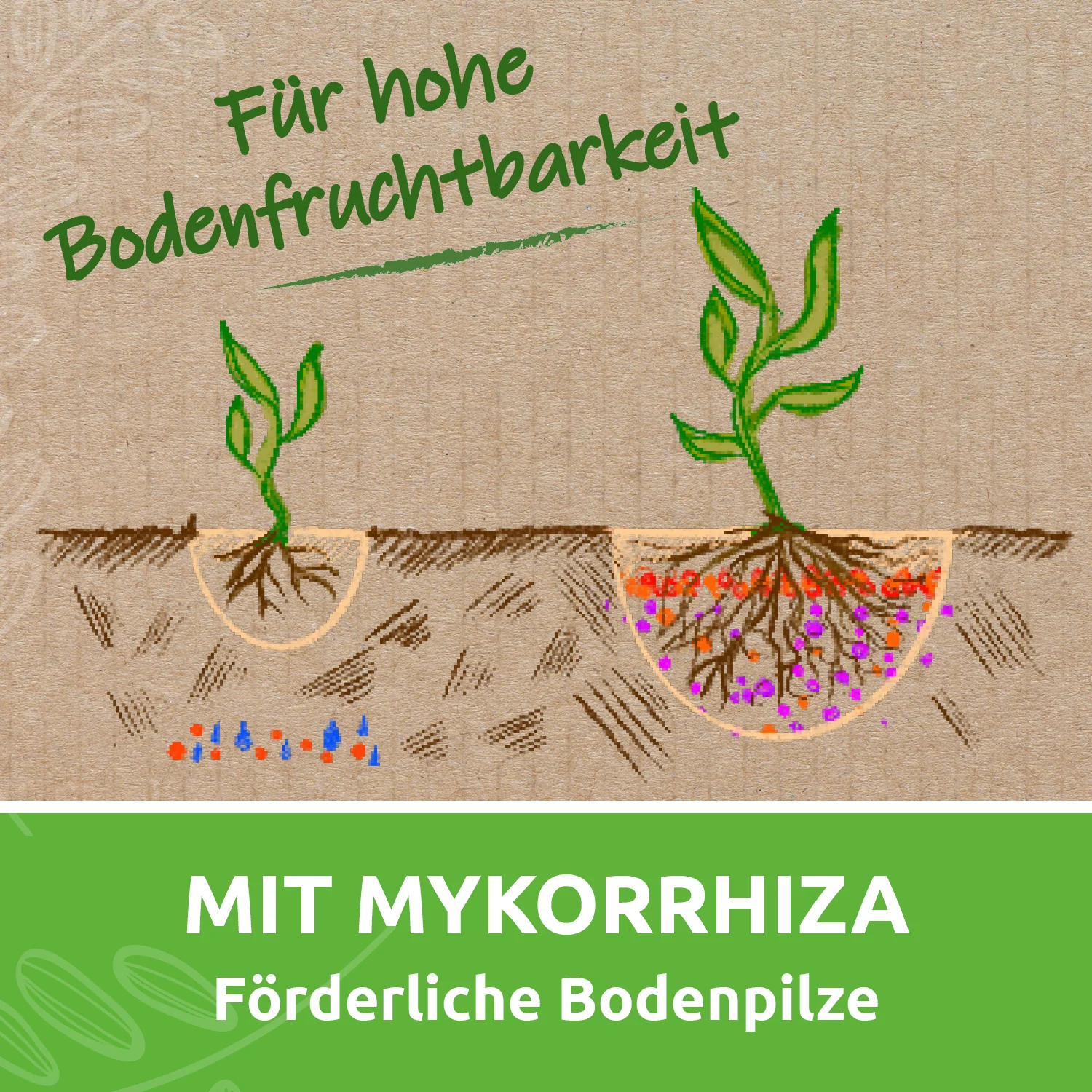Schwarzes Gold Forte - organischer Terra Preta Dünger - Image 7