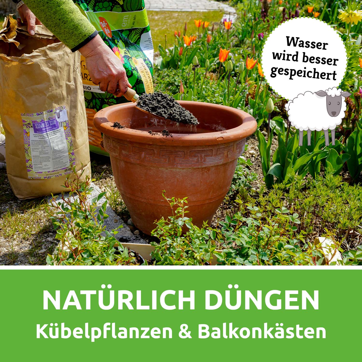 Schwarzes Schaf - Schafwollpellets - Image 4
