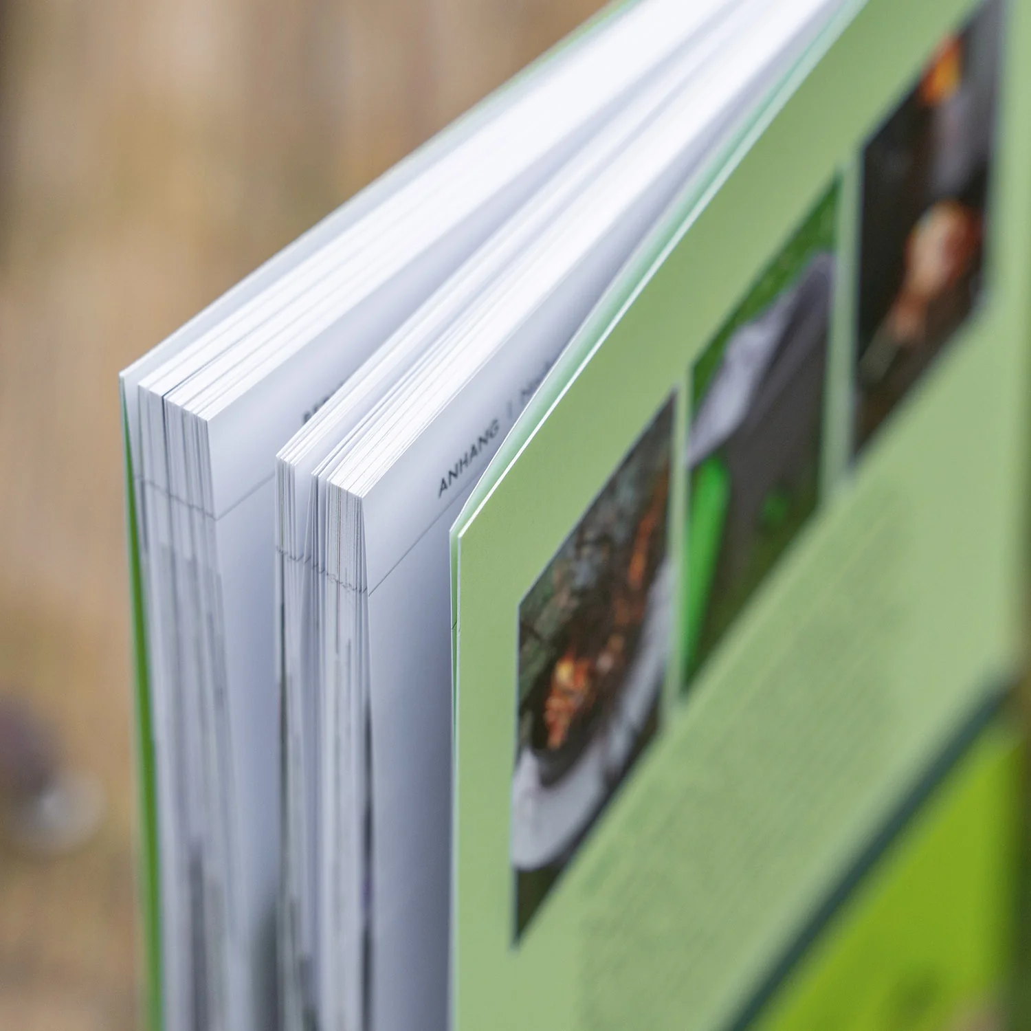 Terra preta. Pflanzenkohle, Effektive Mikroorganismen & Co. Für nachhaltige Landnutzung und Klimaschutz - Image 4