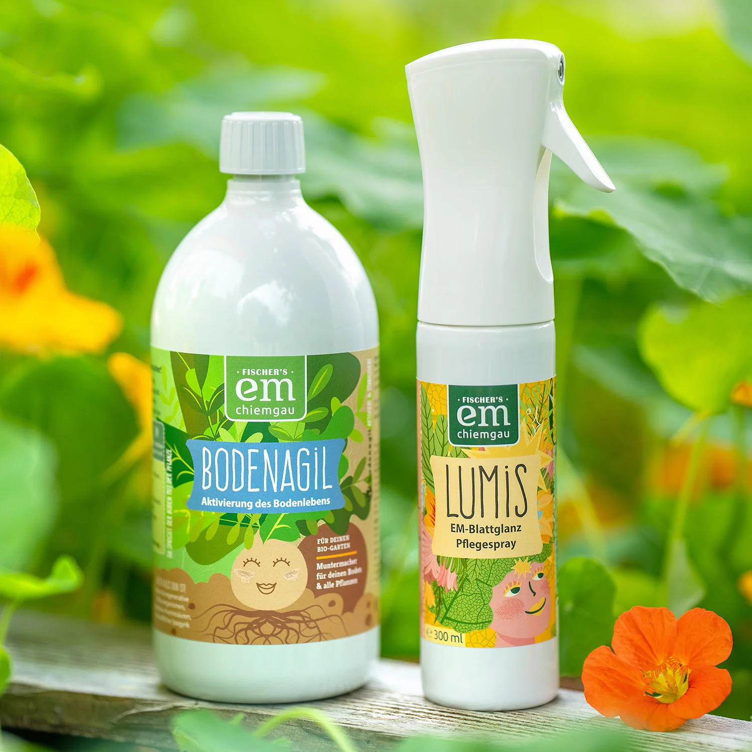 Zimmerpflanzen Vital-Set „Grünfrische“